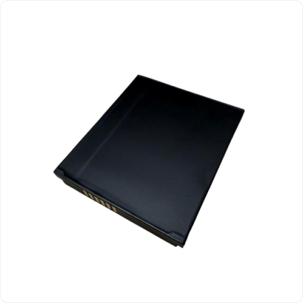 Battery PAM-100 POS